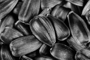 Black Unshelled Sunflower Seeds Macro clipart