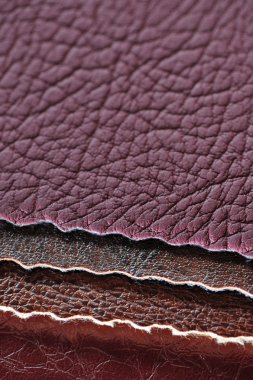 Artificial Leather Swatches clipart
