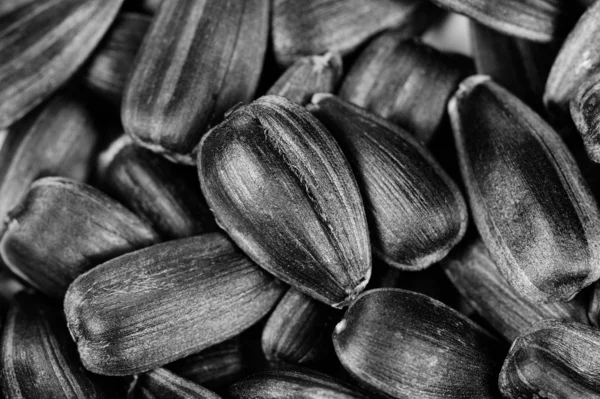 Black Unshelled Sunflower Seeds Macro — Stock Photo, Image