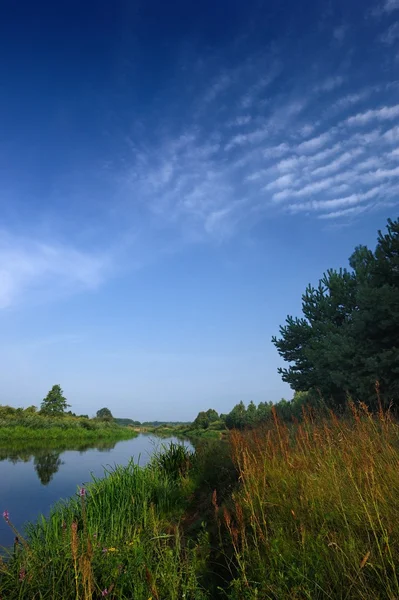 Pequeño río en el campo — Foto de Stock