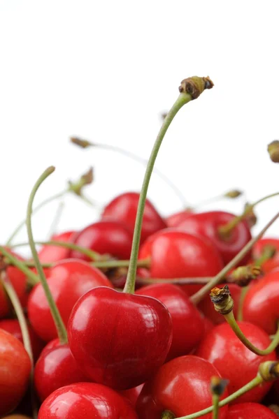 Cerezas dulces rojas sobre fondo blanco con espacio de copia — Foto de Stock