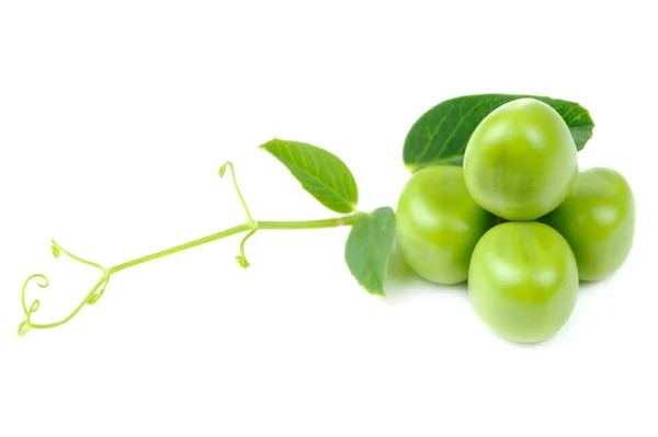 Green Peas with Leaves and Tendril Isolated on White Background — Stock Photo, Image