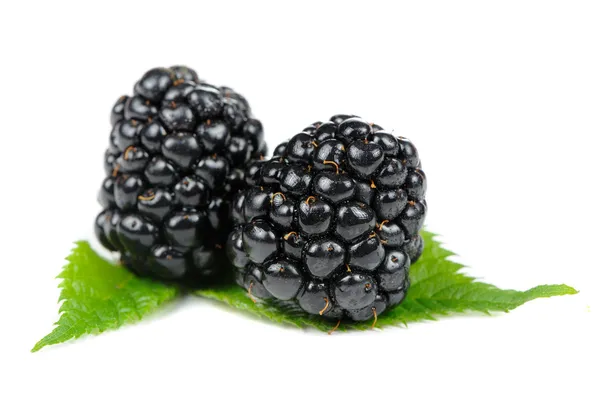 Moras con hojas verdes aisladas sobre fondo blanco —  Fotos de Stock