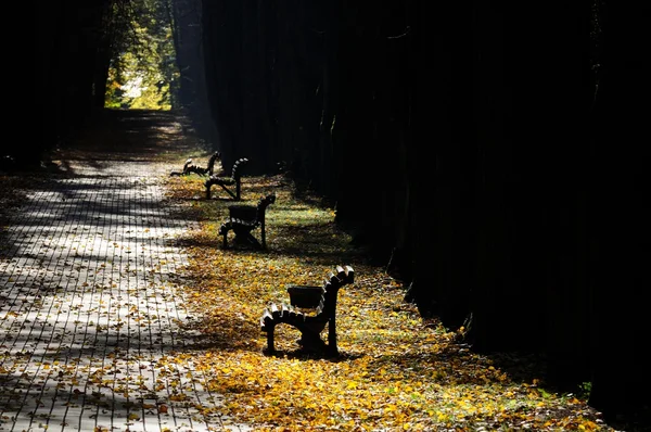 Bancos vacíos en el parque en otoño — Foto de Stock