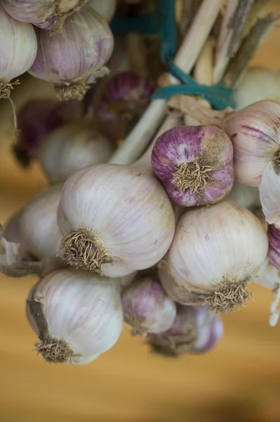 Bos van knoflook — Stockfoto