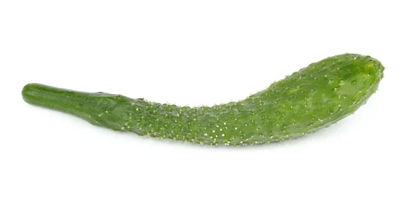 Green Chinese Cucumber Isolated on White Background — Stock Photo, Image