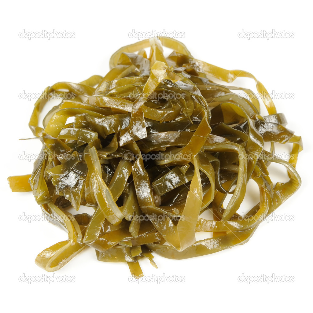 Laminaria (Kelp) Seaweed Isolated on White Background