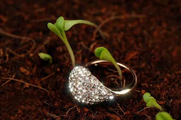 Zlatý prsten s zirkony (cz) na zemi se zelenými rostlinami — Stock fotografie