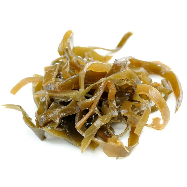 Laminaria (Kelp) Alghe marine Close-up isolato su sfondo bianco — Foto Stock