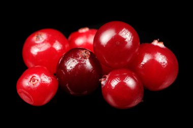 siyah arka plan üzerine kızılcık