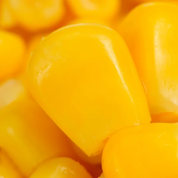 Granos de maíz macro — Foto de Stock