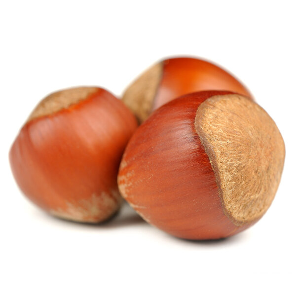 Hazelnuts изолированы на белом фоне