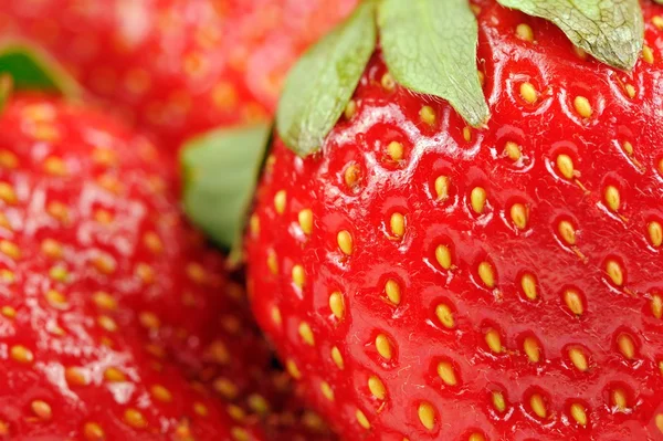 Rote Erdbeeren aus nächster Nähe — Stockfoto