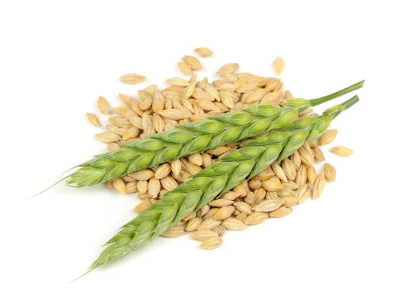 Barley Grains and Ears Isolated on White Background — Stock Photo, Image