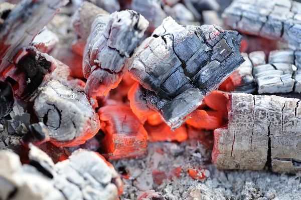 Embers de madera caliente rojo primer plano —  Fotos de Stock