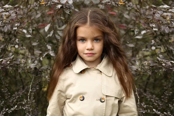 Niña en el parque de otoño — Foto de Stock