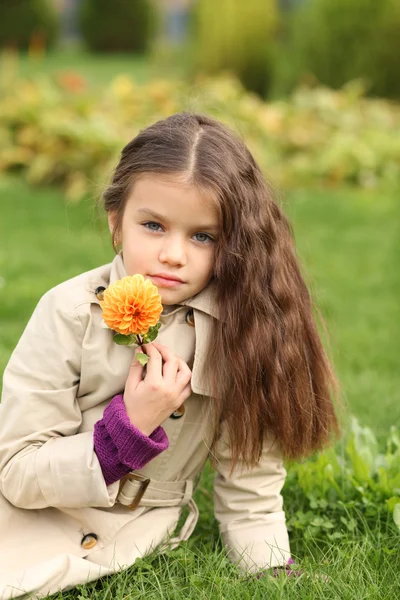 Mała dziewczynka w jesiennym parku — Zdjęcie stockowe
