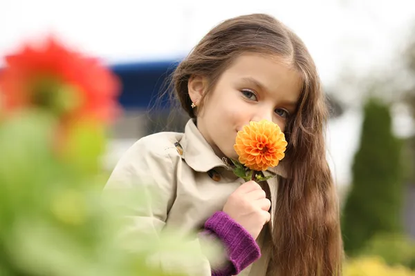 Little girl in the autumn park — Stock Photo, Image