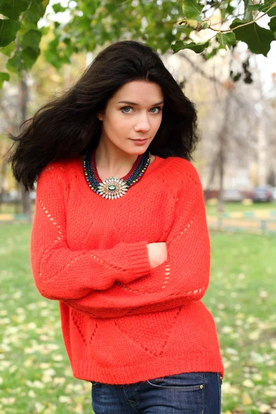 Autumn portrait of a girl in a red sweater Stock Image