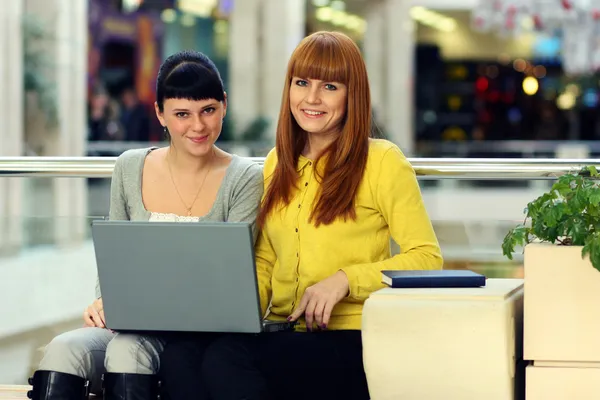 Twee jonge vrouwen die bekeken, laptop — Stockfoto