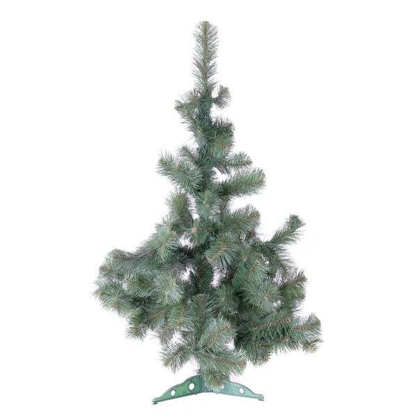 Fir-tree isolated on white — Stock Photo, Image