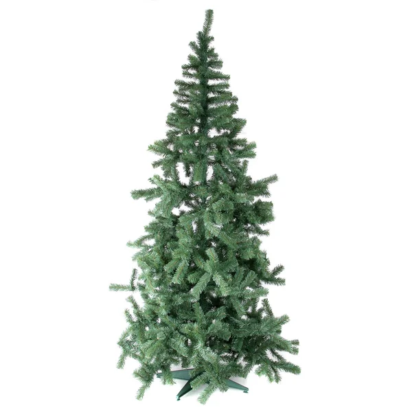 FIR tree isolerad på vit — Stockfoto