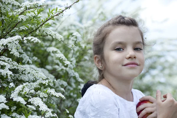 Portrét krásné malé holčičky v jarní květy — Stock fotografie