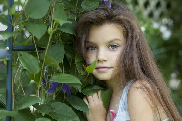 Porträtt av vacker liten flicka — Stockfoto