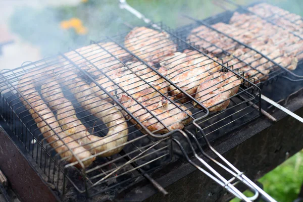 Barbecue in the forest.shashlik at nature — Stock Photo, Image