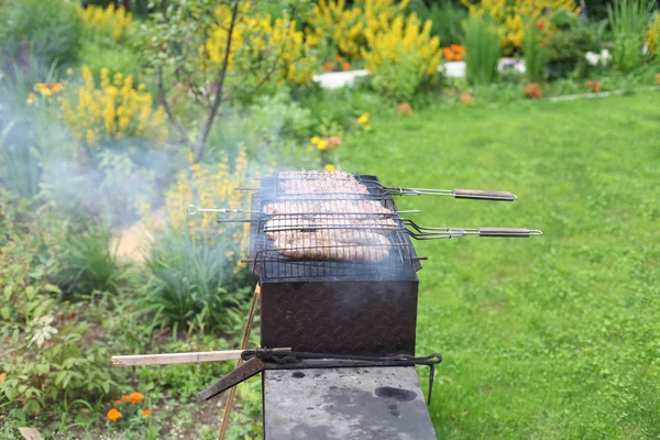 Barbecue in the forest.shashlik at nature — Stock Photo, Image