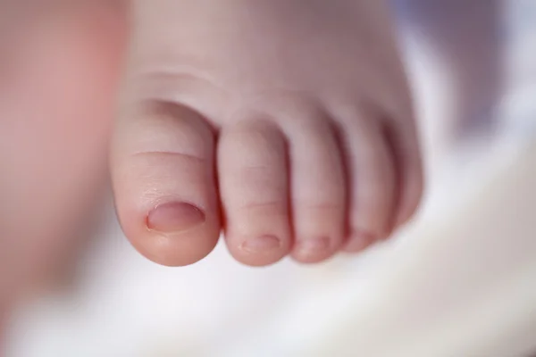 Закройте ногу новорожденному — стоковое фото