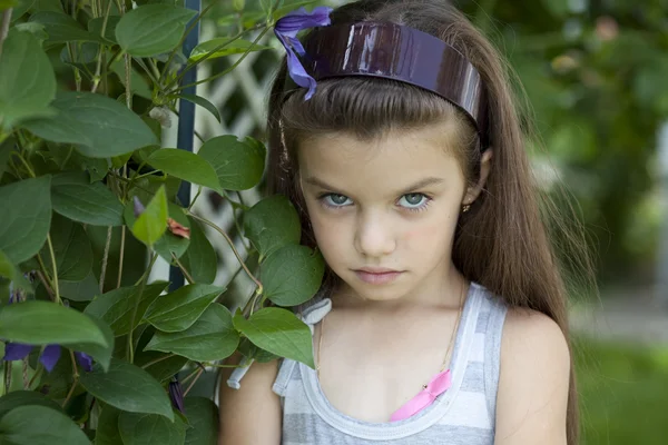 Portrait of beautiful little girl — Stock Photo, Image