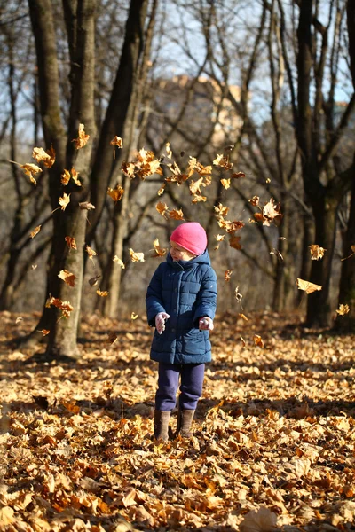 Podzimní portrét krásné holčičky — Stock fotografie