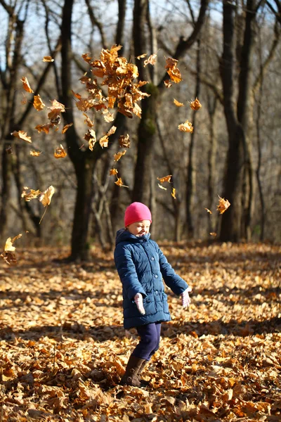One little girl in autumn forest — Stock Photo, Image