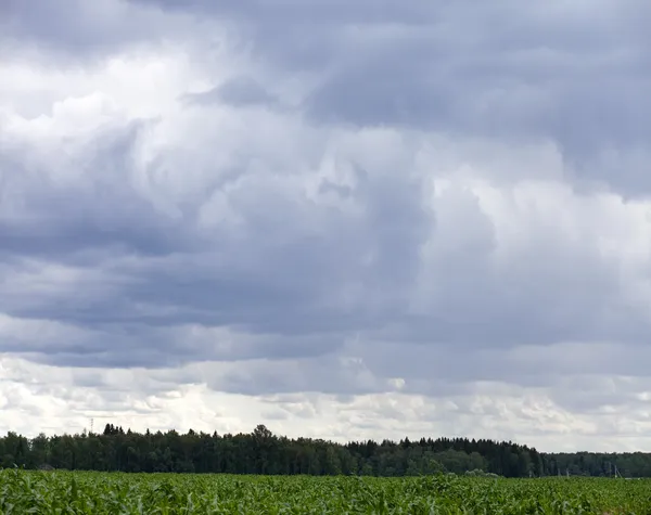 Fond de ciel avec nuages gris — Photo