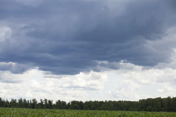 Hemelachtergrond met grijze wolken — Stockfoto