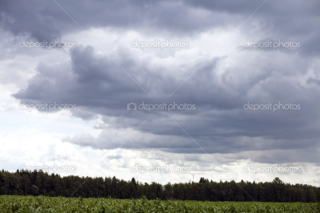 sky background with gray clouds