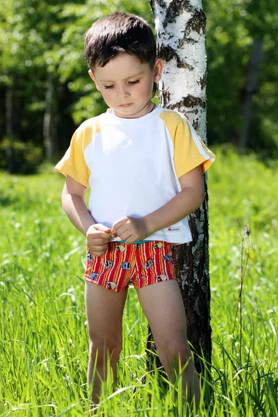 Portrait of beautiful little boy — Stock Photo, Image