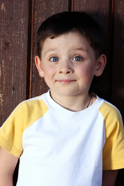 Gyönyörű kisfiú portréja — Stock Fotó