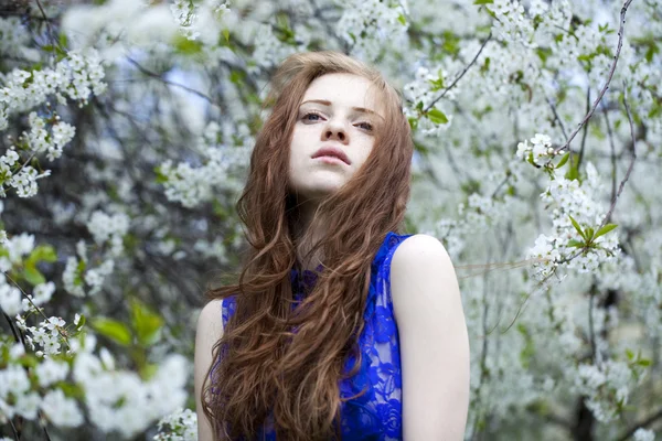 Beautiful young girl standing near blooming trees in spring gard — Stock Photo, Image