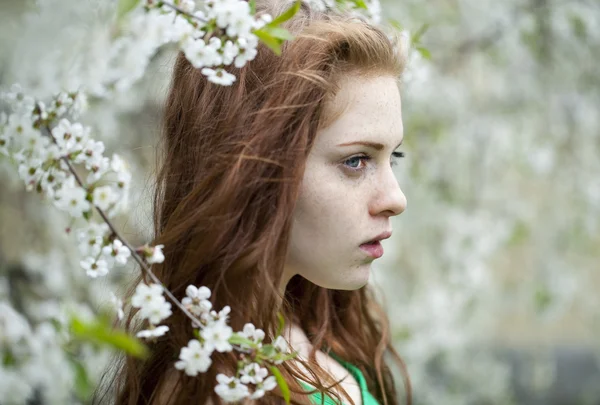 Beautiful young girl standing near blooming trees in spring gard — Stock Photo, Image