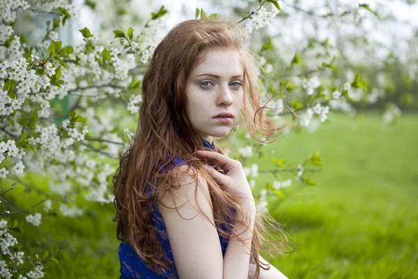 Beautiful young girl standing near blooming trees in spring gard — Stock Photo, Image