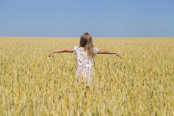 Klein meisje in een gouden tarweveld — Stockfoto