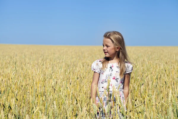 Liten flicka i ett vete gyllene fält — Stockfoto