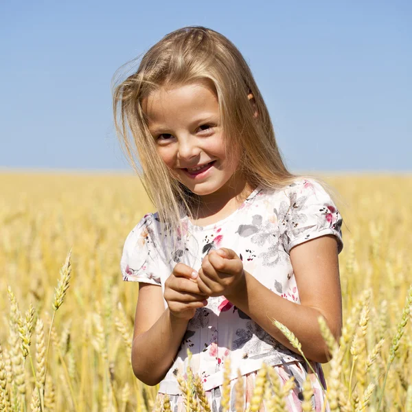 Liten flicka i ett vete gyllene fält — Stockfoto