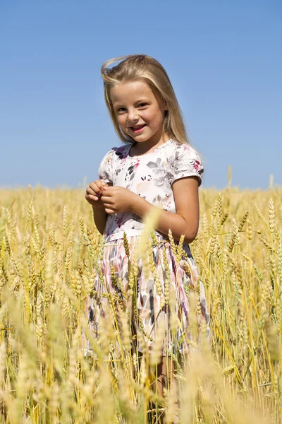 Bir buğday altın alanda küçük kız — Stok fotoğraf