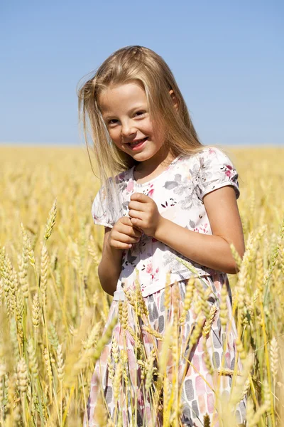 Kleines Mädchen in einem goldenen Weizenfeld — Stockfoto