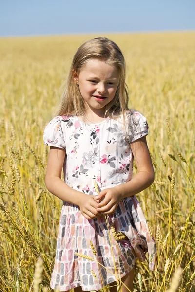Bir buğday altın alanda küçük kız — Stok fotoğraf