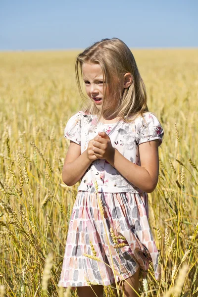 Kleines Mädchen in einem goldenen Weizenfeld — Stockfoto