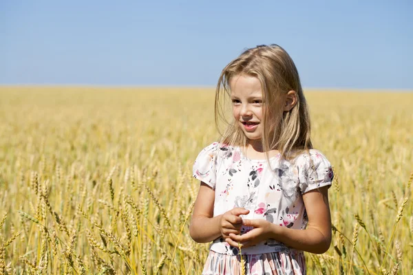 Little girl in a wheat golden field — Stock Photo, Image